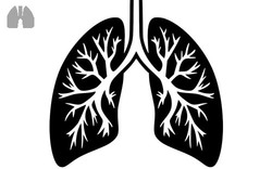 Klinik Respirasi Klinik Dokter Tht Di Malang Klinik Dokter Paru Di Malang Klinik Dokter Paru Di Surabaya Klinik Dokter Penyakit Dalam Di Malang Klinik Dokter Gigi Di Malang Klinik Dokter Gigi Di