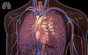 /images/berita/tumbnail/2705-pulmonary-hipertensi.png